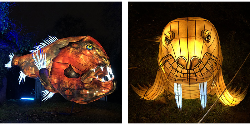 Giant lanterns of an anglerfish and a walrus