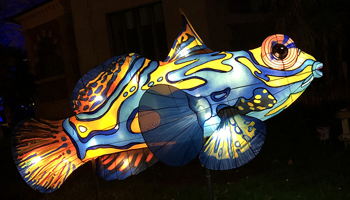 A giant lantern in the shape of a blue and yellow fish