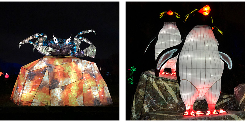 Giant lanterns in the shape of a crab and a macaroni penguin