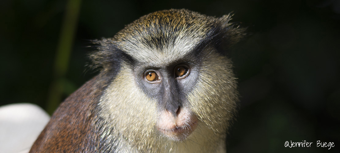 Long Weekend: Grenada