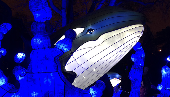 An giant orca light statue