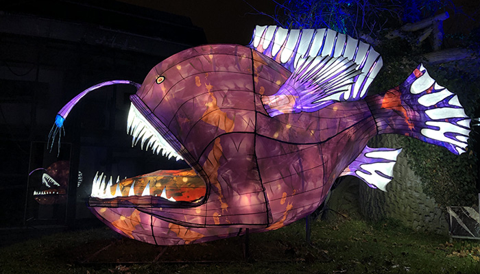 A giant lantern in the shape of a purple fish